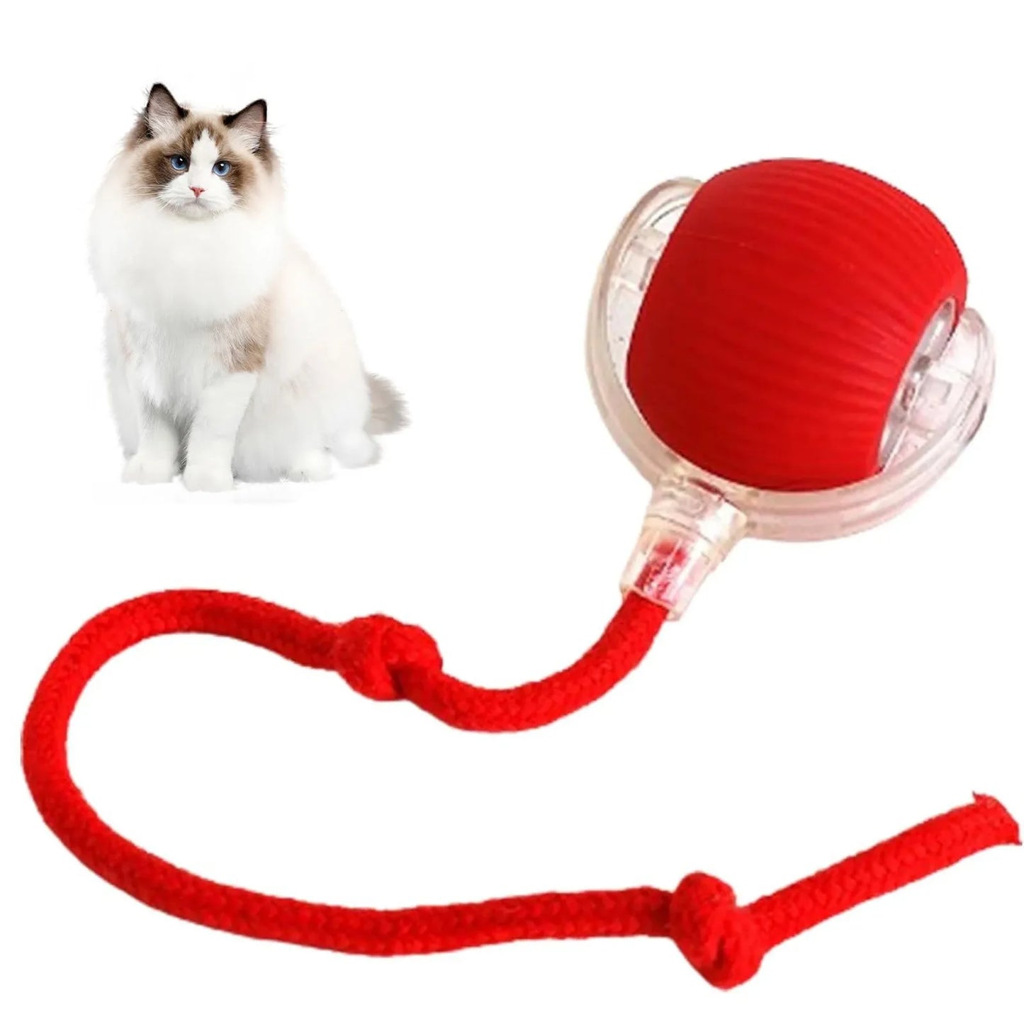 Lettuce Interactive Cat Toys Rolling Ball, Smart Interactive Dog Toys