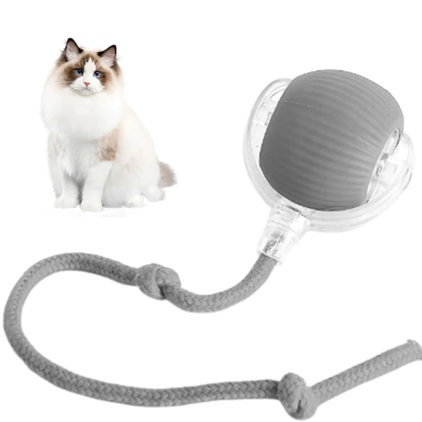 Lettuce Interactive Cat Toys Rolling Ball, Smart Interactive Dog Toys