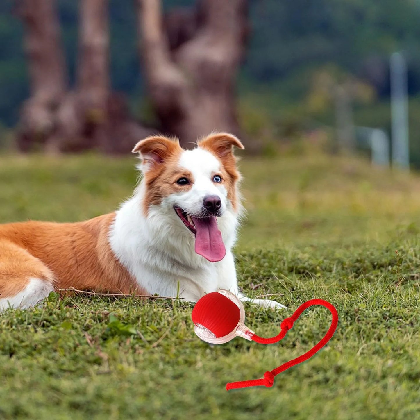Lettuce Interactive Cat Toys Rolling Ball, Smart Interactive Dog Toys