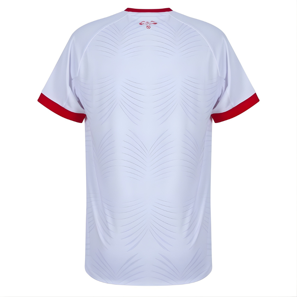 Jordan National Soccer Team Jersey 2024/25 Official Style Football Shirt for Men Women Youth